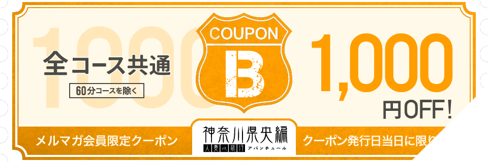 クーポンBチケット