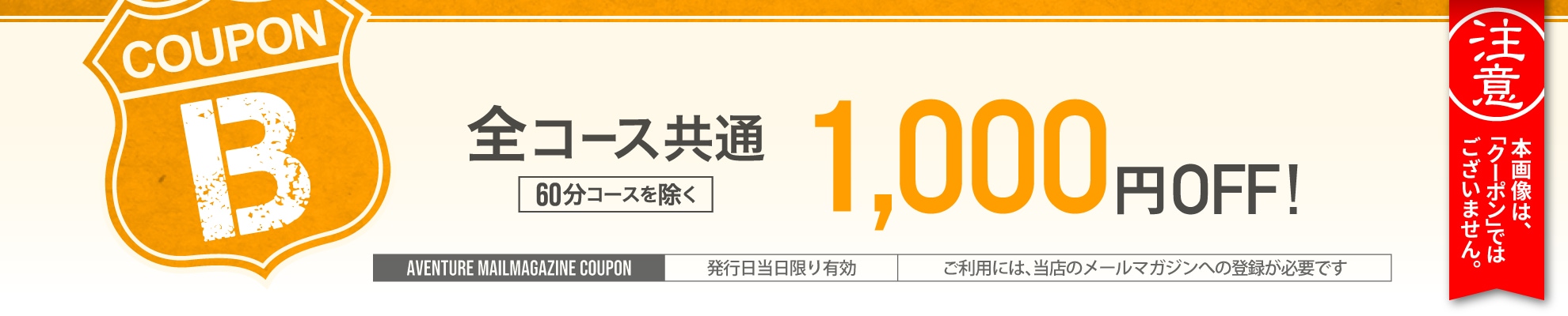 クーポンBチケット